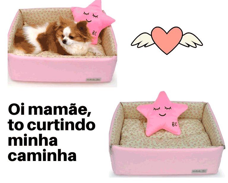 Caminha de cachorro fofo