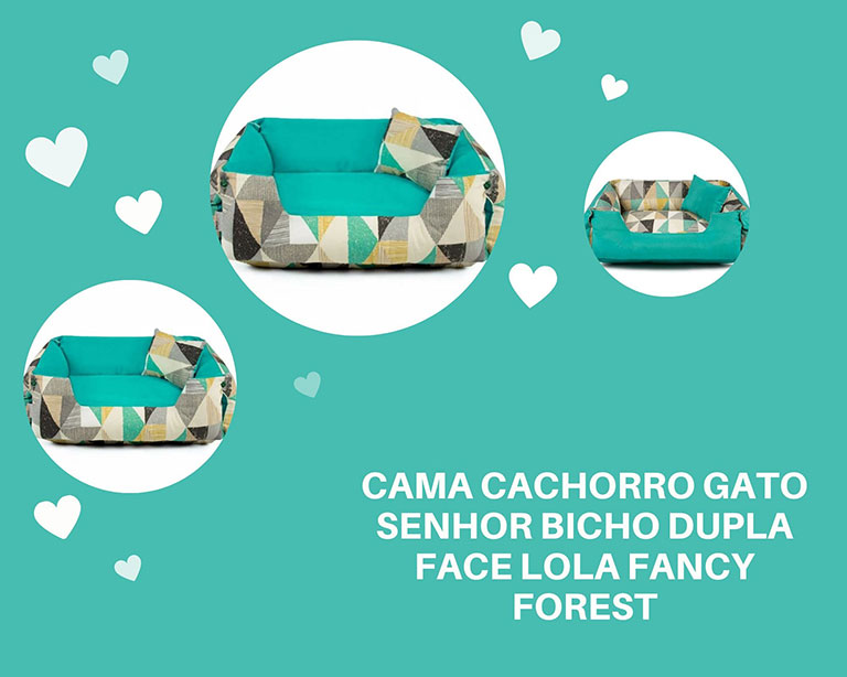 caminha para cachorro