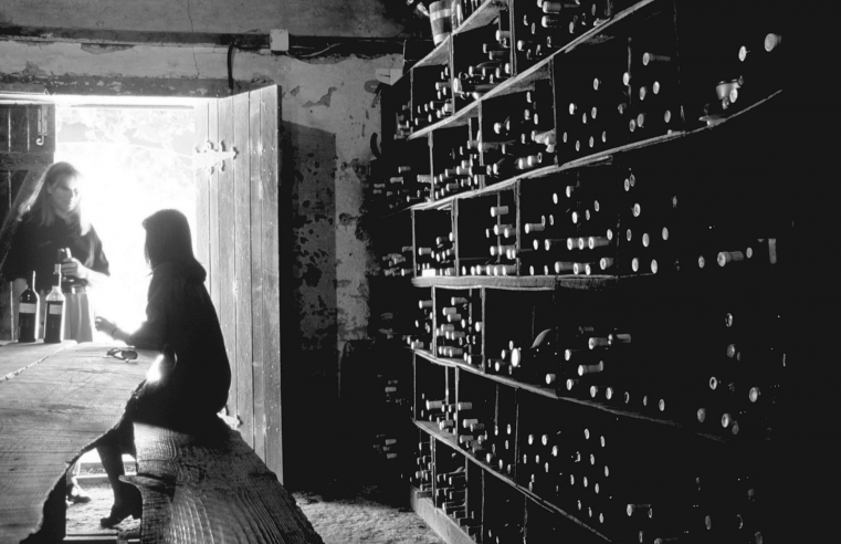 Vinhos para Presentear: confira o TOP 10 melhores de 2024